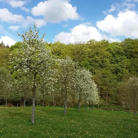 Landsted Maison Ancienne Restauree Avec Poele A Bois Et Animaux Admis - Fr-1-497-15
