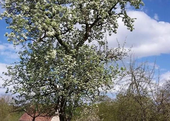 Σπίτι διακοπών Maison Ancienne Restauree Avec Poele A Bois Et Animaux Admis - Fr-1-497-15 *